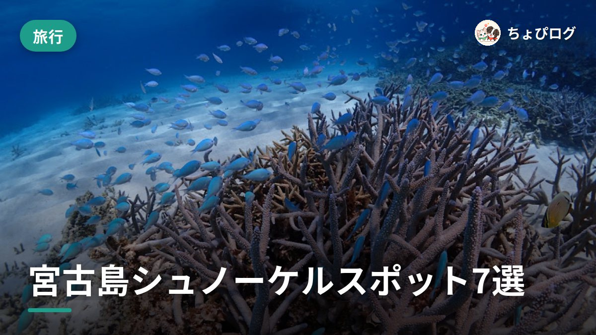 宮古島のシュノーケル、住民が実際に泳いで選んだ7スポットのサムネイル