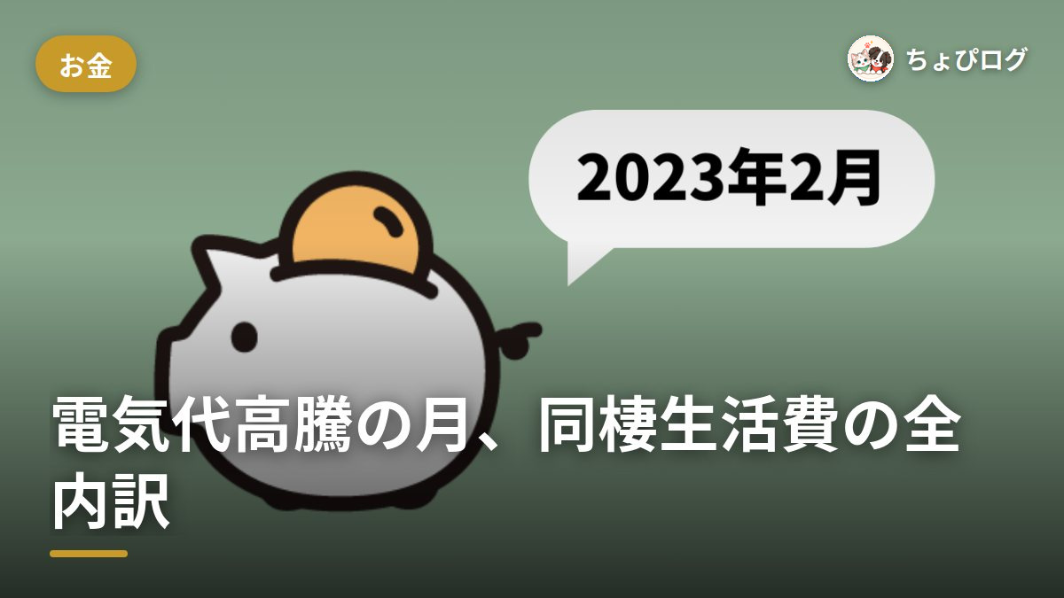 【家計簿公開】電気代高騰の2023年2月、20代後半の同棲生活費っていくらかかった？のサムネイル