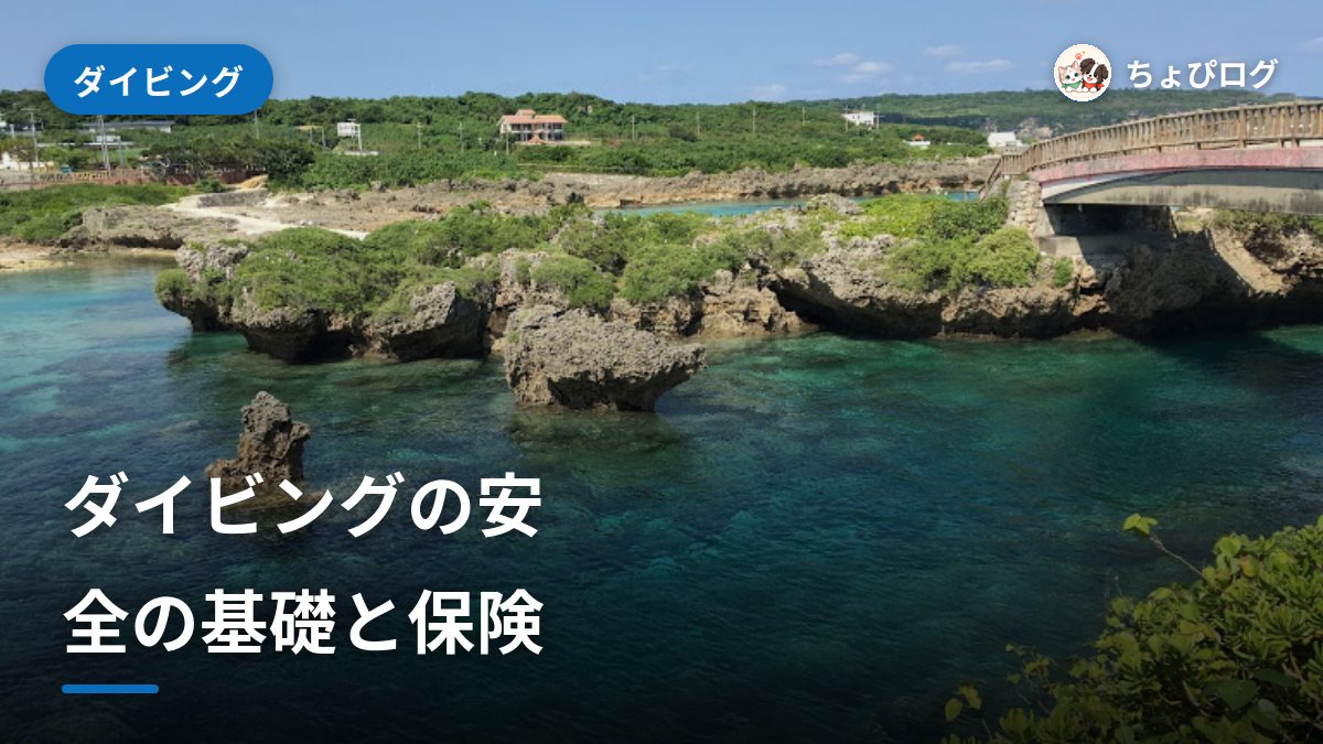 ダイビングの安全と保険｜事故を減らすためにできることのサムネイル