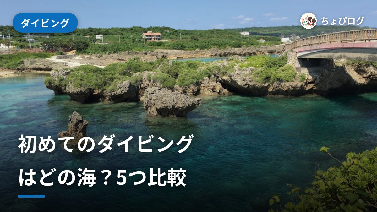 初めてのダイビングはどの海？5つの海を正直に比べたのサムネイル