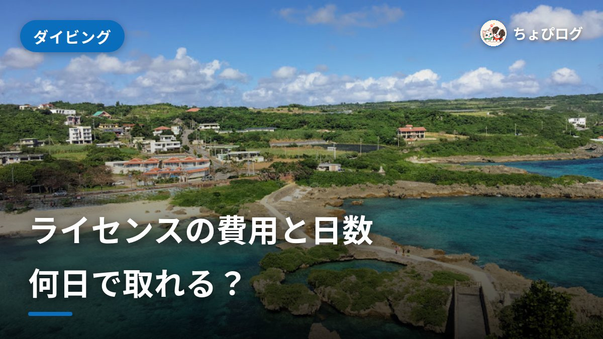 ダイビングライセンスの費用と日数｜何日で取れる？のサムネイル