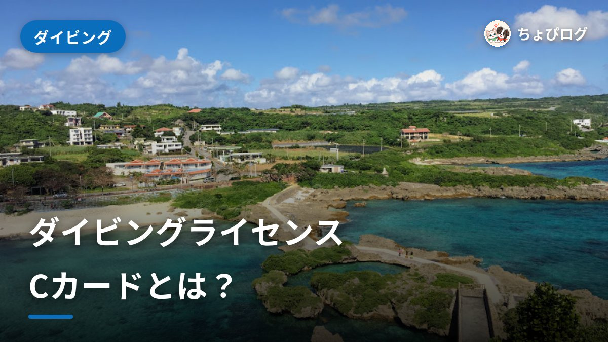 ダイビングライセンス（Cカード）とは？種類と取り方をやさしくのサムネイル