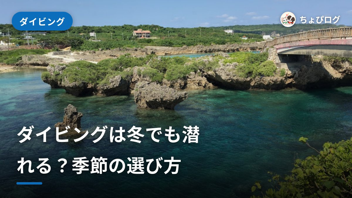 ダイビングのベストシーズンは？冬・雨・台風、正直な話のサムネイル