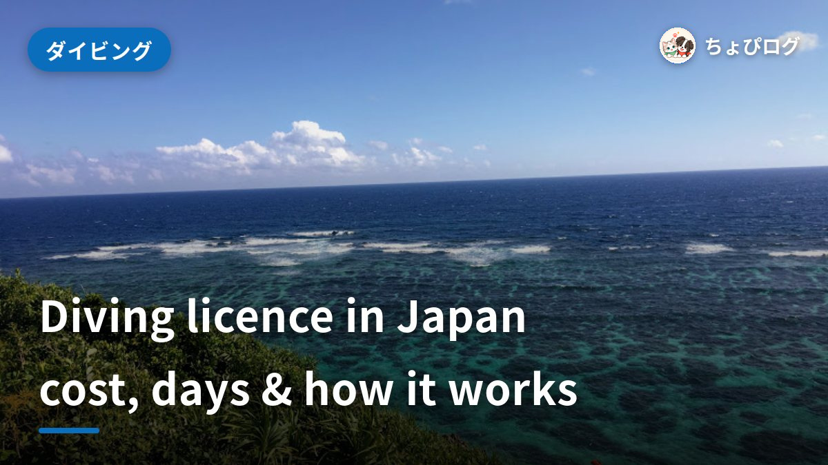Getting a Diving Licence in Japan: Cost, Days and How It Worksのサムネイル