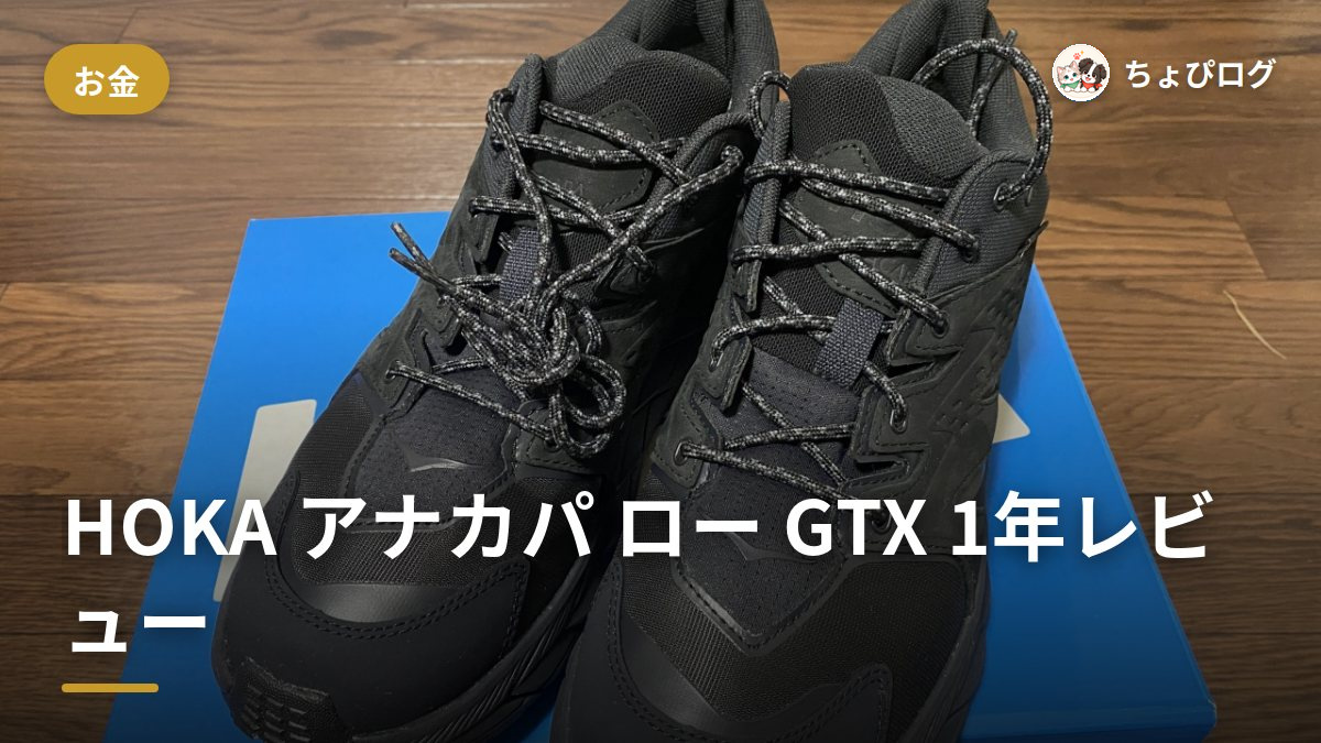 HOKA アナカパ ロー GTX、1年履いてわかった疲れにくさと防水力のサムネイル