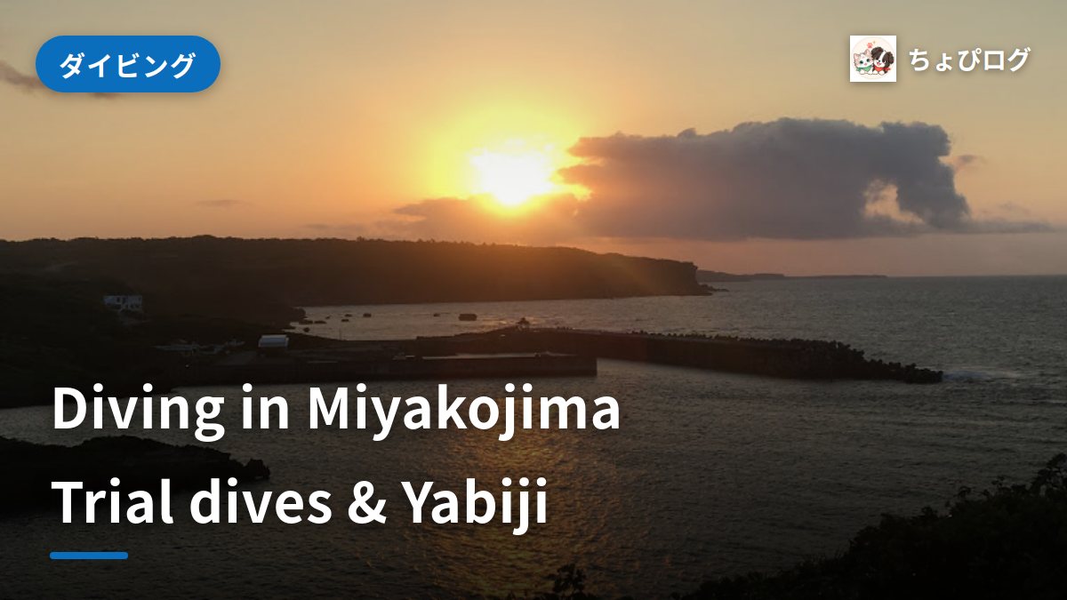 Miyakojima Diving Guide: Trial Dives, Yabiji Reef and Costsのサムネイル