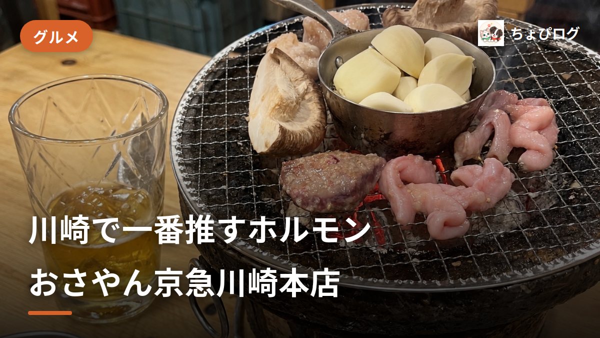 【川崎】おさやん京急川崎本店のホルモンを本気で一番推す！赤ちょうちん系飲みのサムネイル