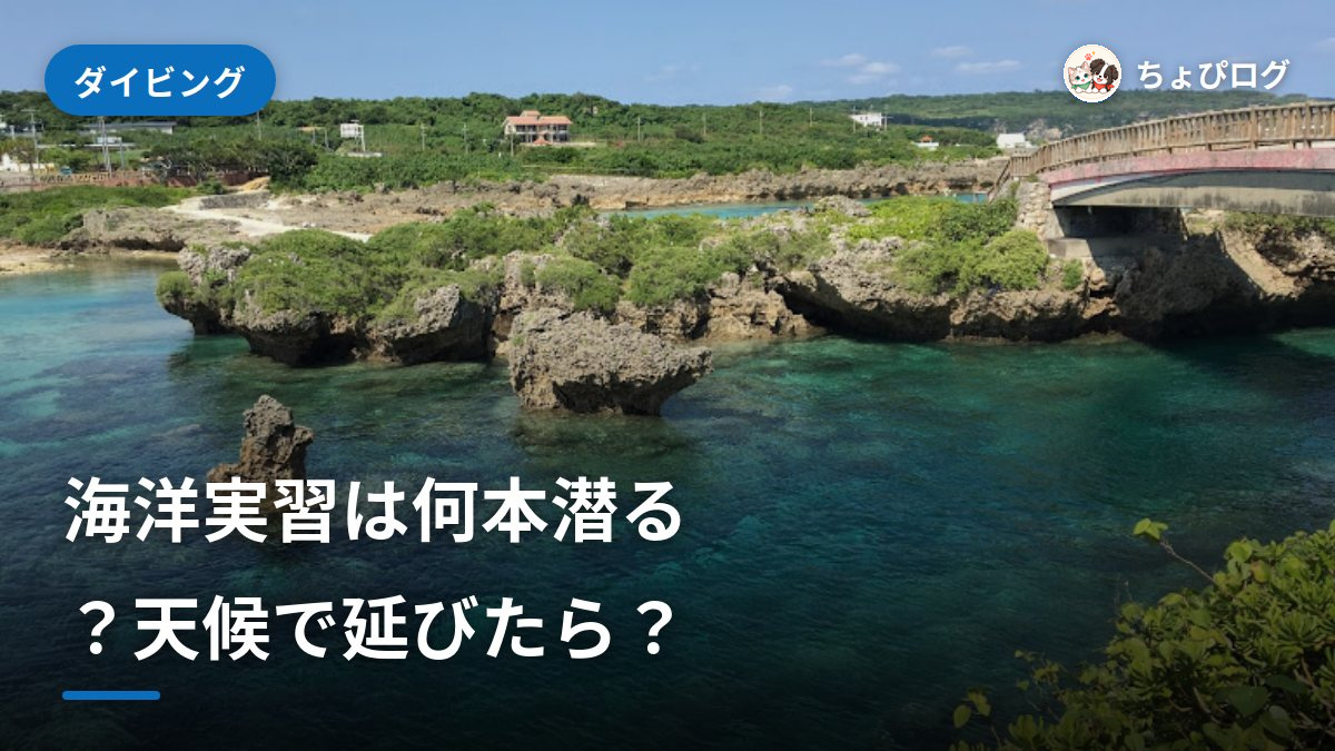 オープンウォーターの海洋実習｜何本潜る？天候で延びたら？のサムネイル