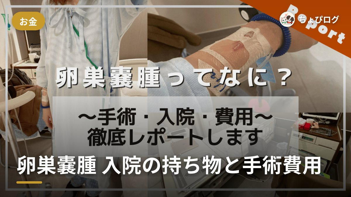 卵巣嚢腫で手術・入院した記録｜持ち物と手術費用のすべてのサムネイル