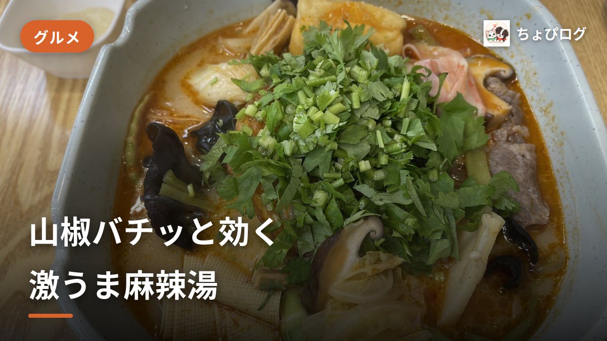 【川崎】三寅馬 重慶麻辣燙を実食！山椒がバチッと効く激うま麻辣湯のサムネイル