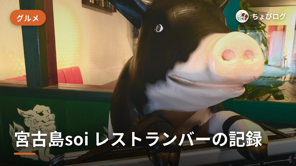宮古島のsoi（ソイ）、お酒もごはんも楽しめるレストランバーに行ってきたのサムネイル