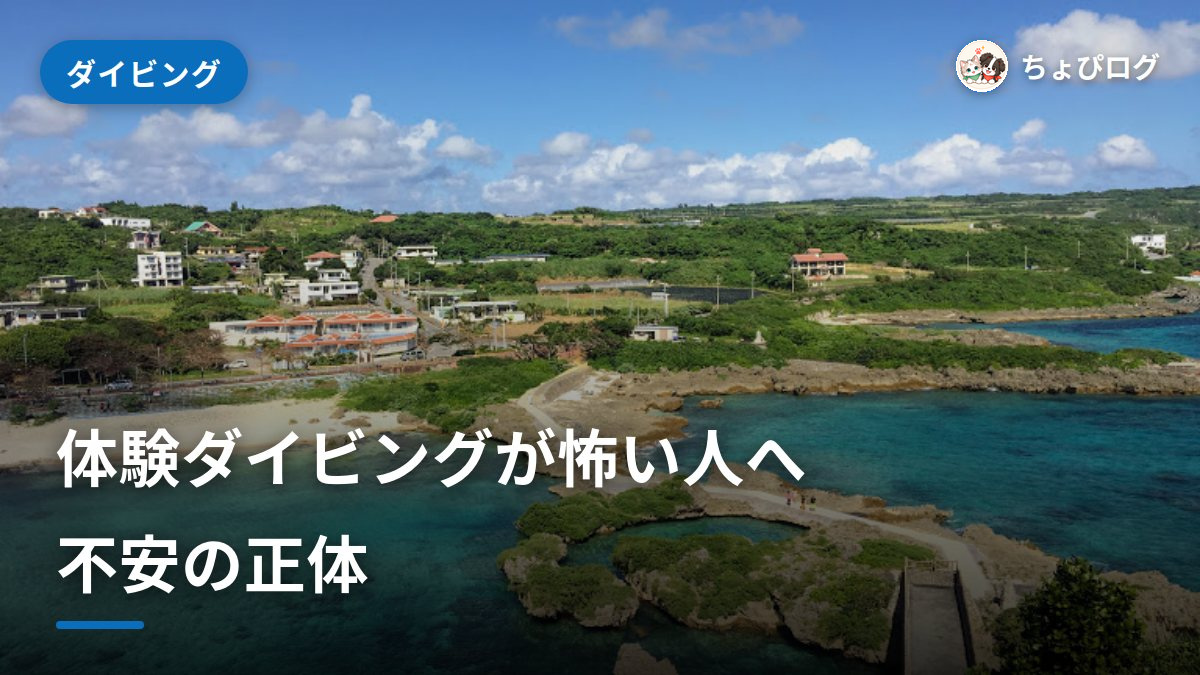 体験ダイビングが怖い…その正体と、怖さを減らす準備のサムネイル
