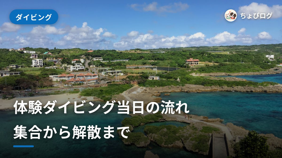 体験ダイビング当日の流れ｜集合から解散まで初めてでも安心のサムネイル