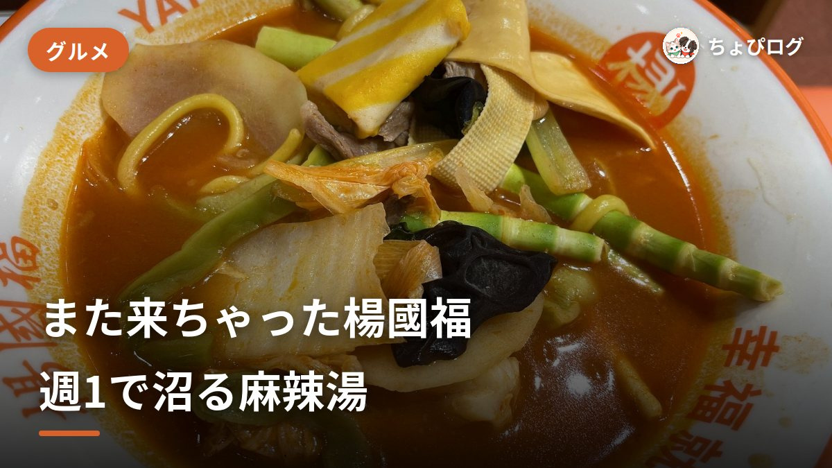 楊國福マーラータン川崎駅前店に週1で通ってる｜2回目のどハマり麻辣湯リピートレビューのサムネイル