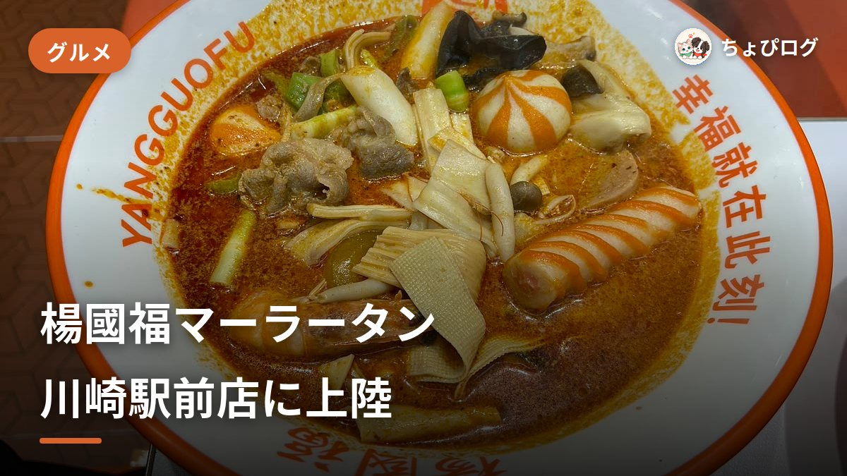 楊國福マーラータン川崎駅前店で麻辣湯を食べまくった｜9/4オープン・具材選び放題で20%OFFものサムネイル