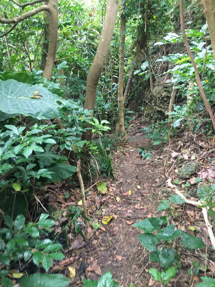ヌドクビアブへ続く細い一本道