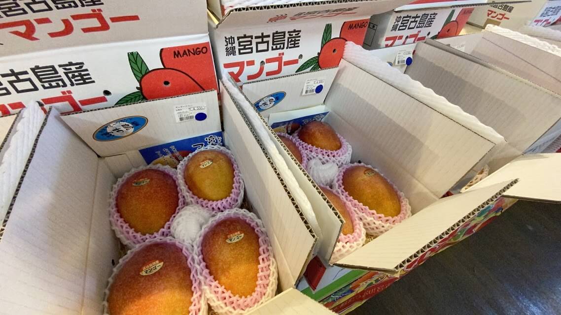 箱詰めで並ぶ宮古島のアップルマンゴー